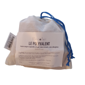 copy of The Traveler's...