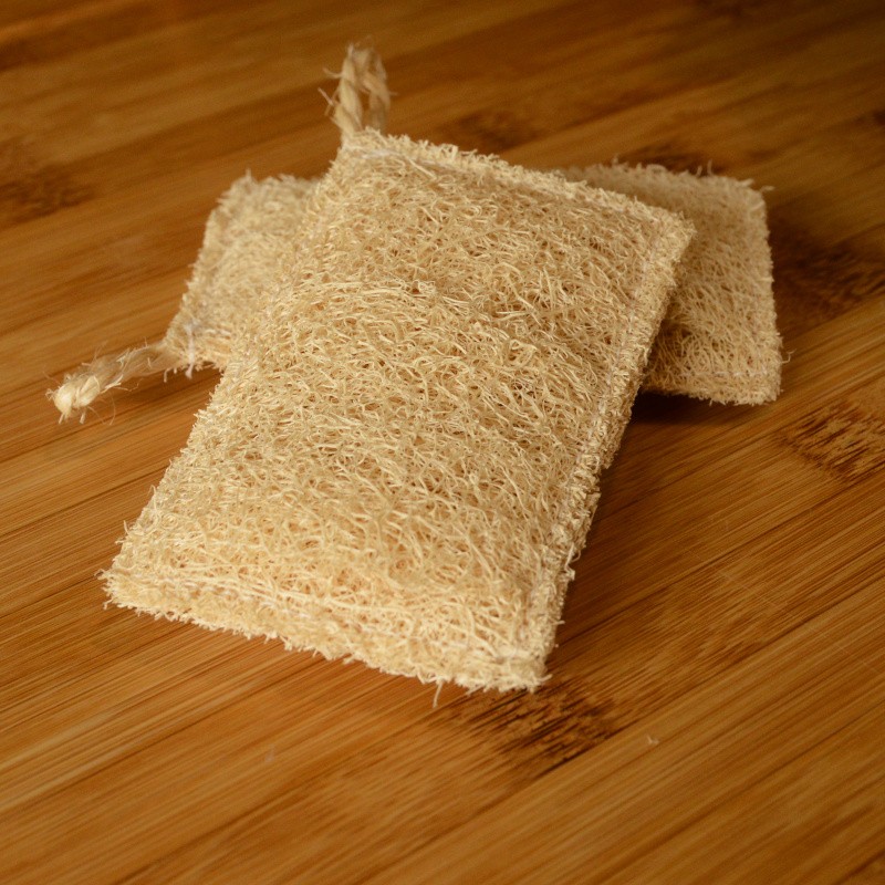 Luffa kitchen sponge